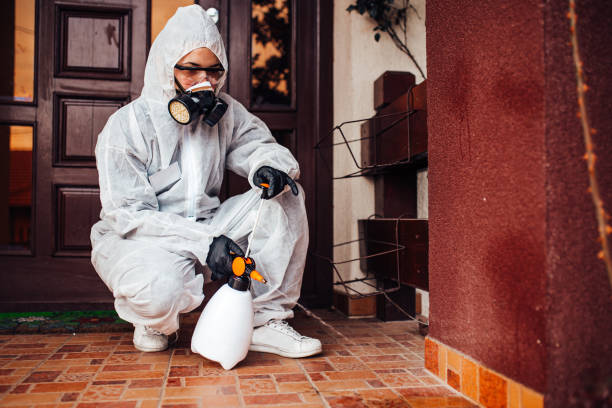 Reliable Bed Bug Control contractor in Milford Mill, MD by Nex Pest Control