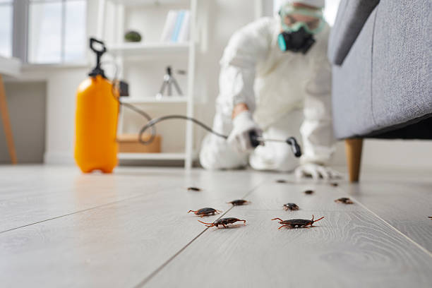 Trusted Termite Control service in Milford Mill, MD - Nex Pest Control